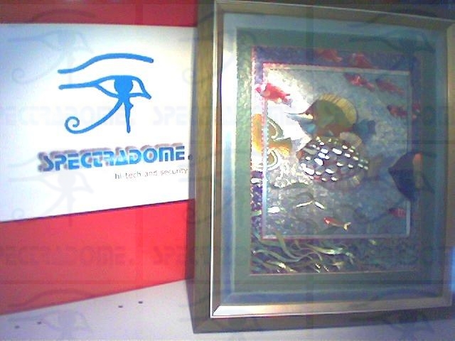 Peinture vidéo espion WiFi